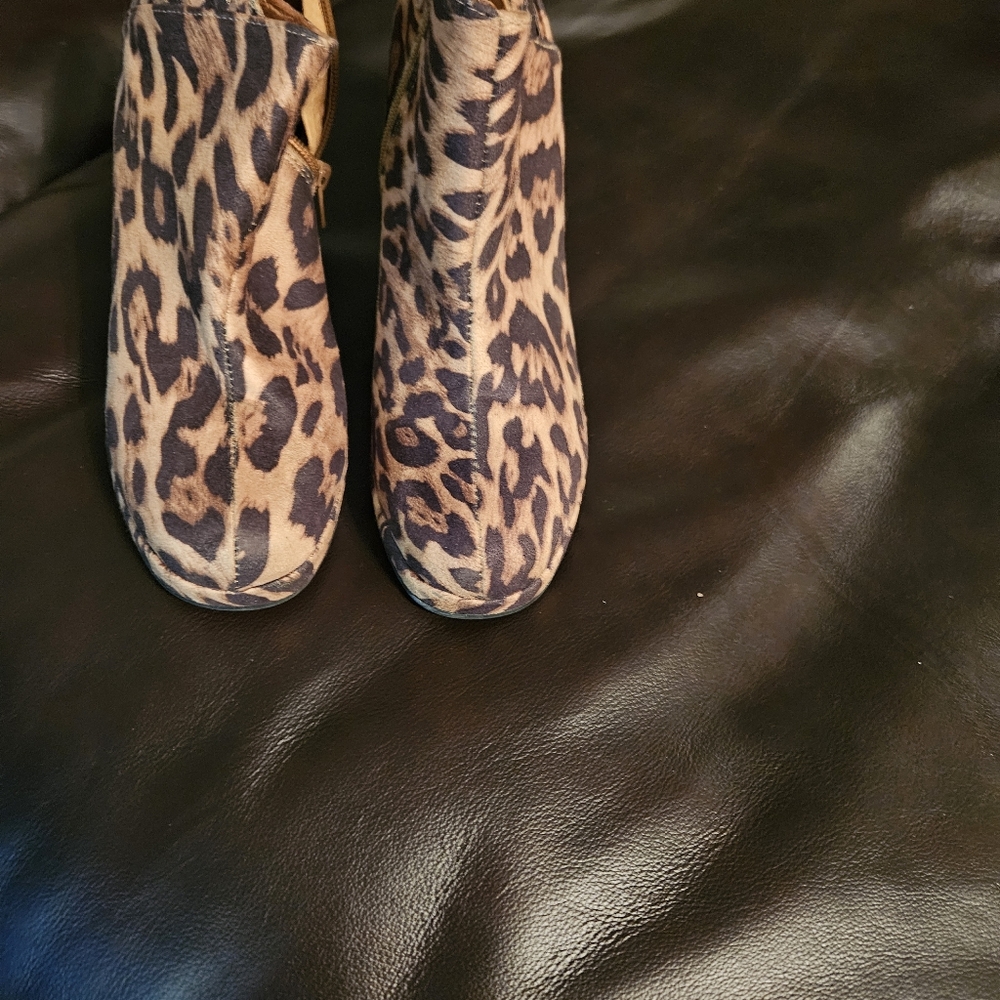 Platforms - Picture 2 of 2